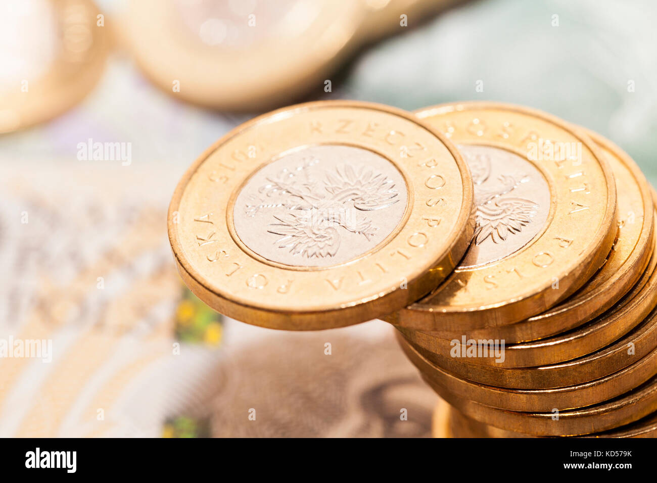 Polnische Geld, close-up Stockfoto