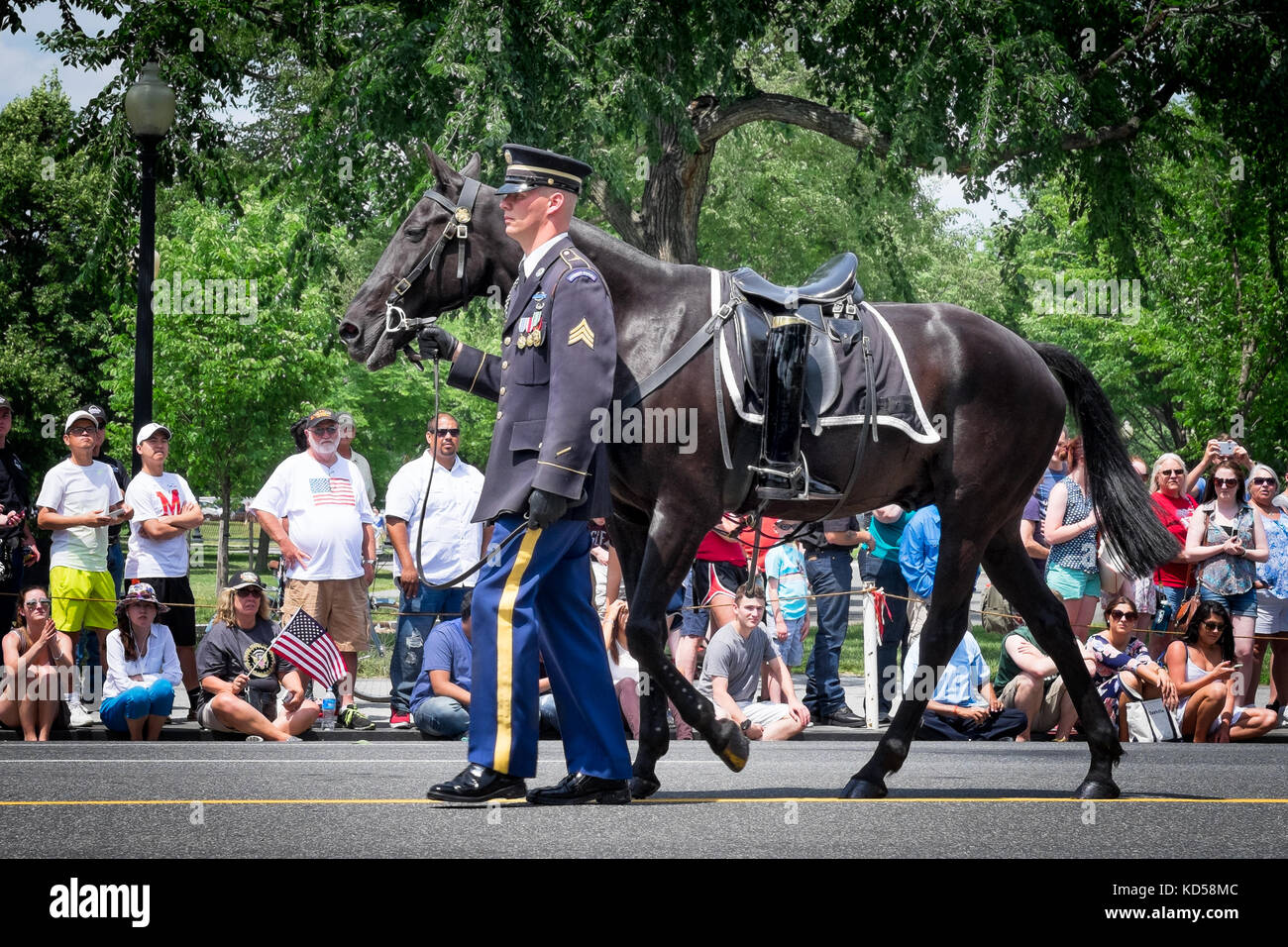 Washington DC - 25. Mai 2015: Memorial Day Parade, geführt von einem riderless Horse zu Ehren derer, die im Dienst gestorben sind. Stiefel in den Bügel sind vertauscht Stockfoto