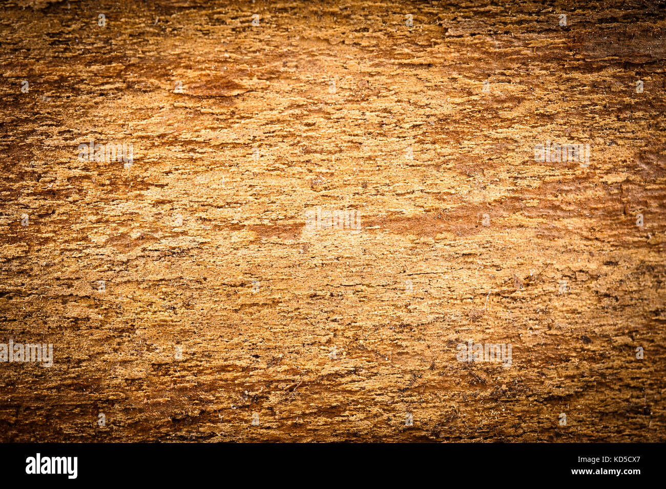 Hintergrund bark Rough mit Vignettierung Stockfoto