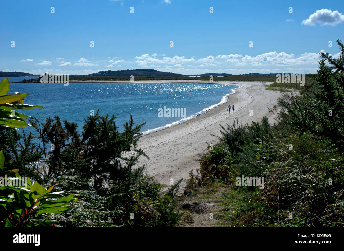 Paar entlang pentle Bay, Tresco, Scilly Inseln, Britische Inseln Stockfoto