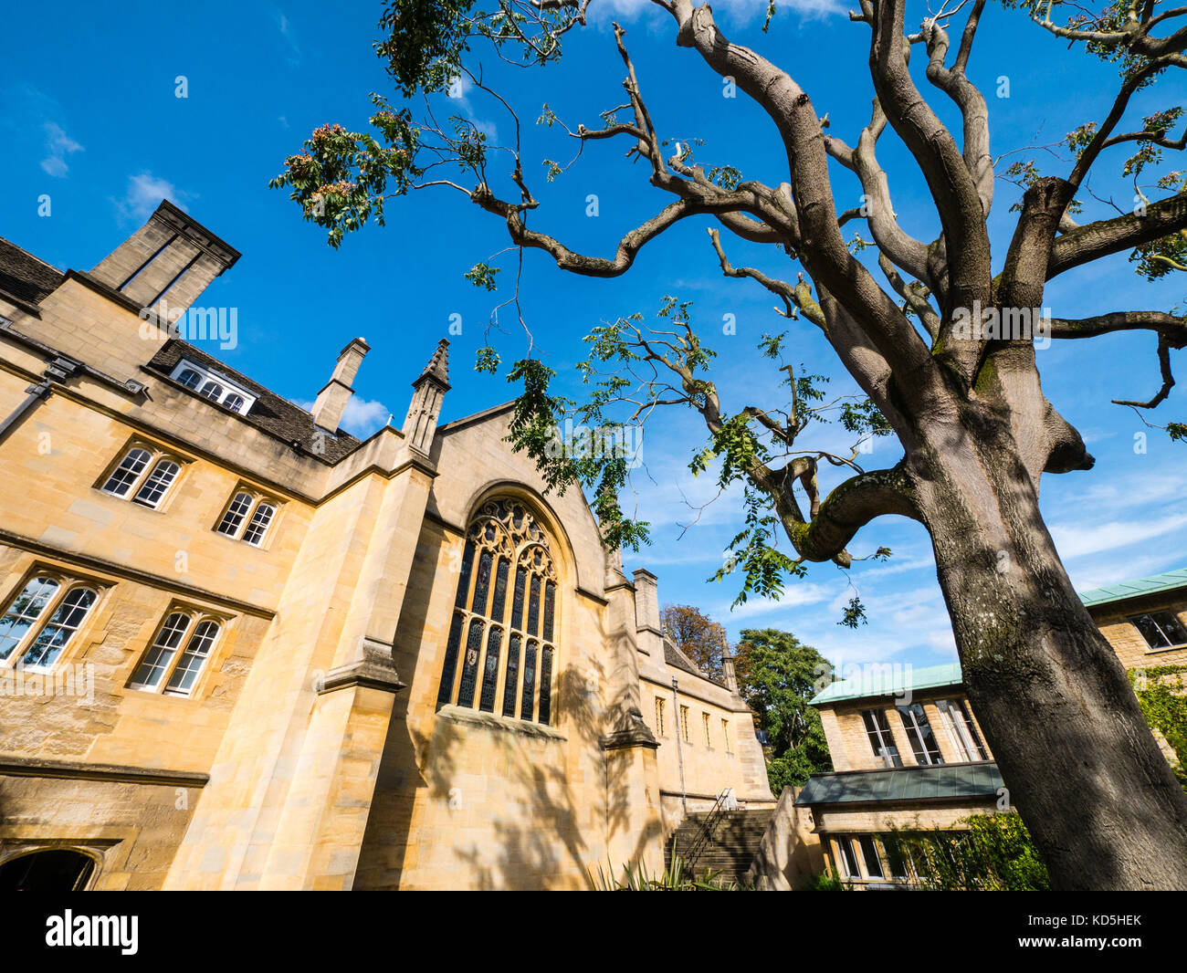 Wadham Kapelle, Wadham College, Oxford, Oxfordshire, England, UK, GB. Stockfoto