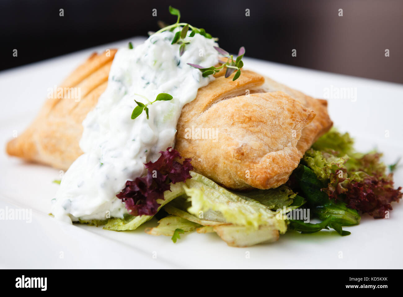 Traditionelle russische pie Stockfoto