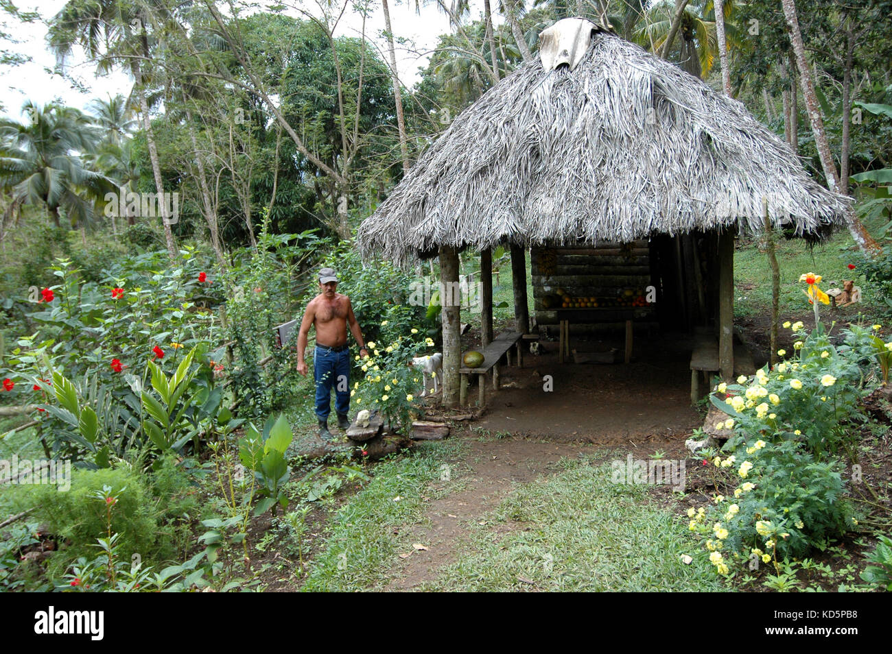 Obst Markt stand auf dem Zug nach El Yunque Tafelberg, Yunque Nationalpark, Kuba Stockfoto