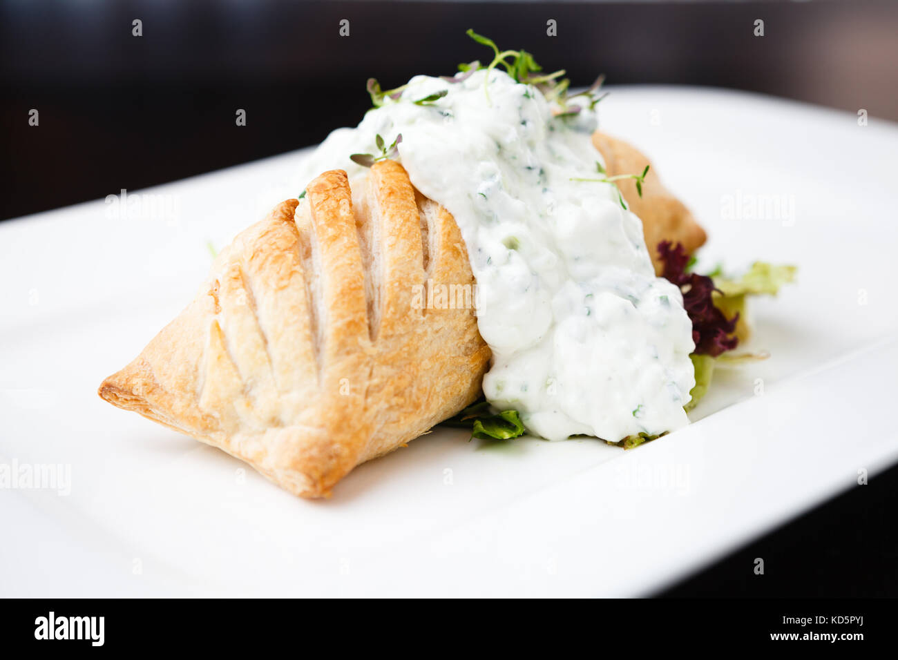 Traditionelle russische pie Stockfoto