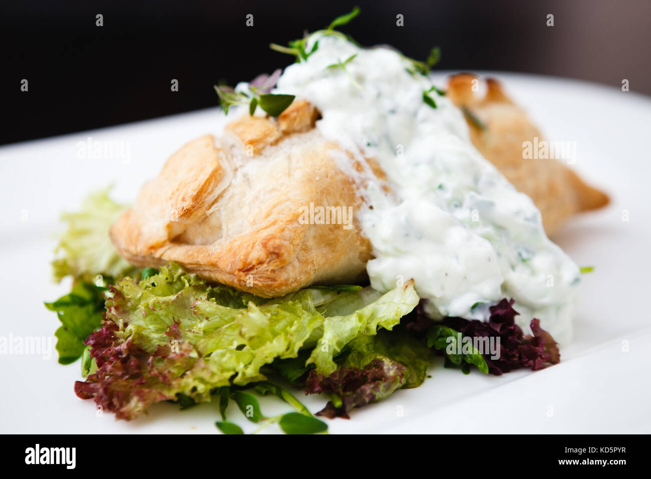 Traditionelle russische pie Stockfoto