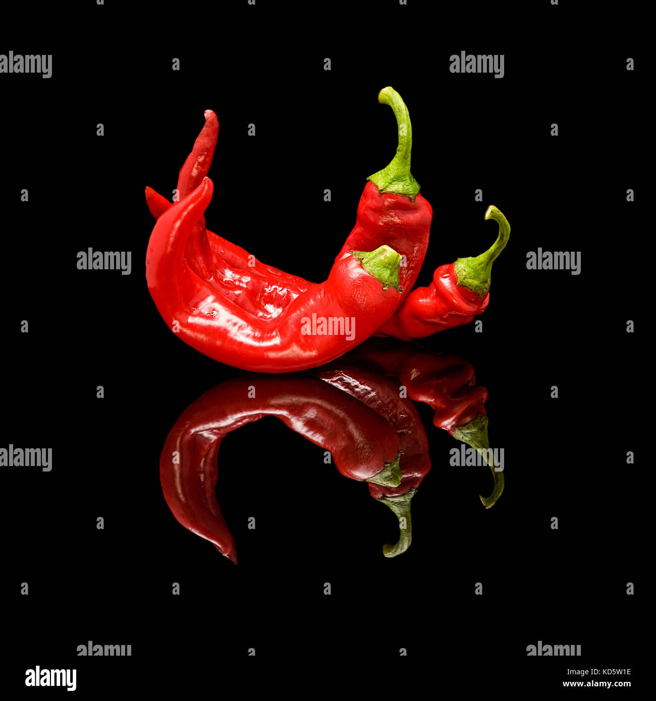 Drei red hot chili peppers isoliert auf Schwarz. Auf einem schwarz glänzenden Hintergrund mit echten Reflexion. Stockfoto
