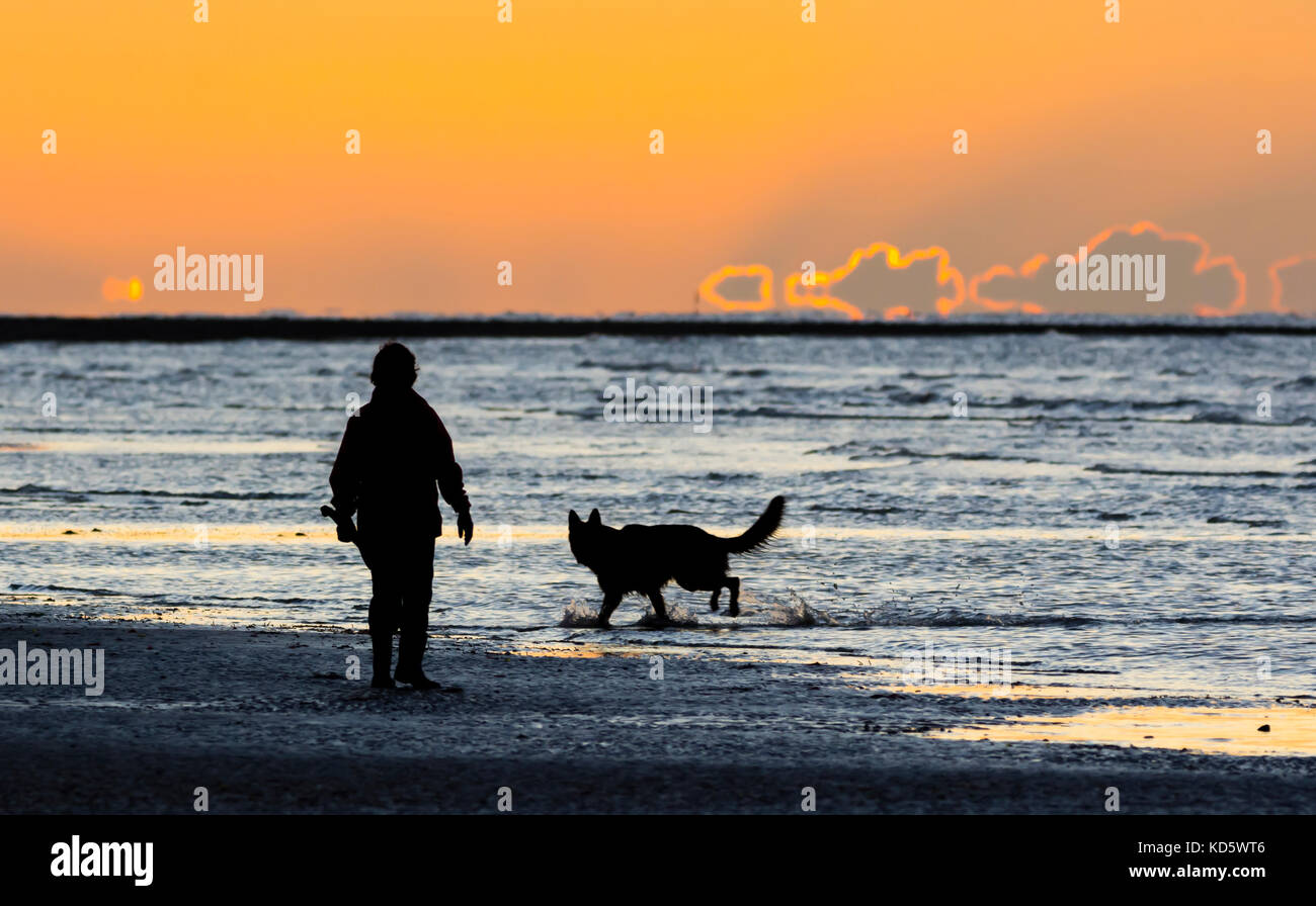 Silhouette eines Mensch und Hund am Strand, wenn die Sonne aufgeht in Großbritannien. Stockfoto