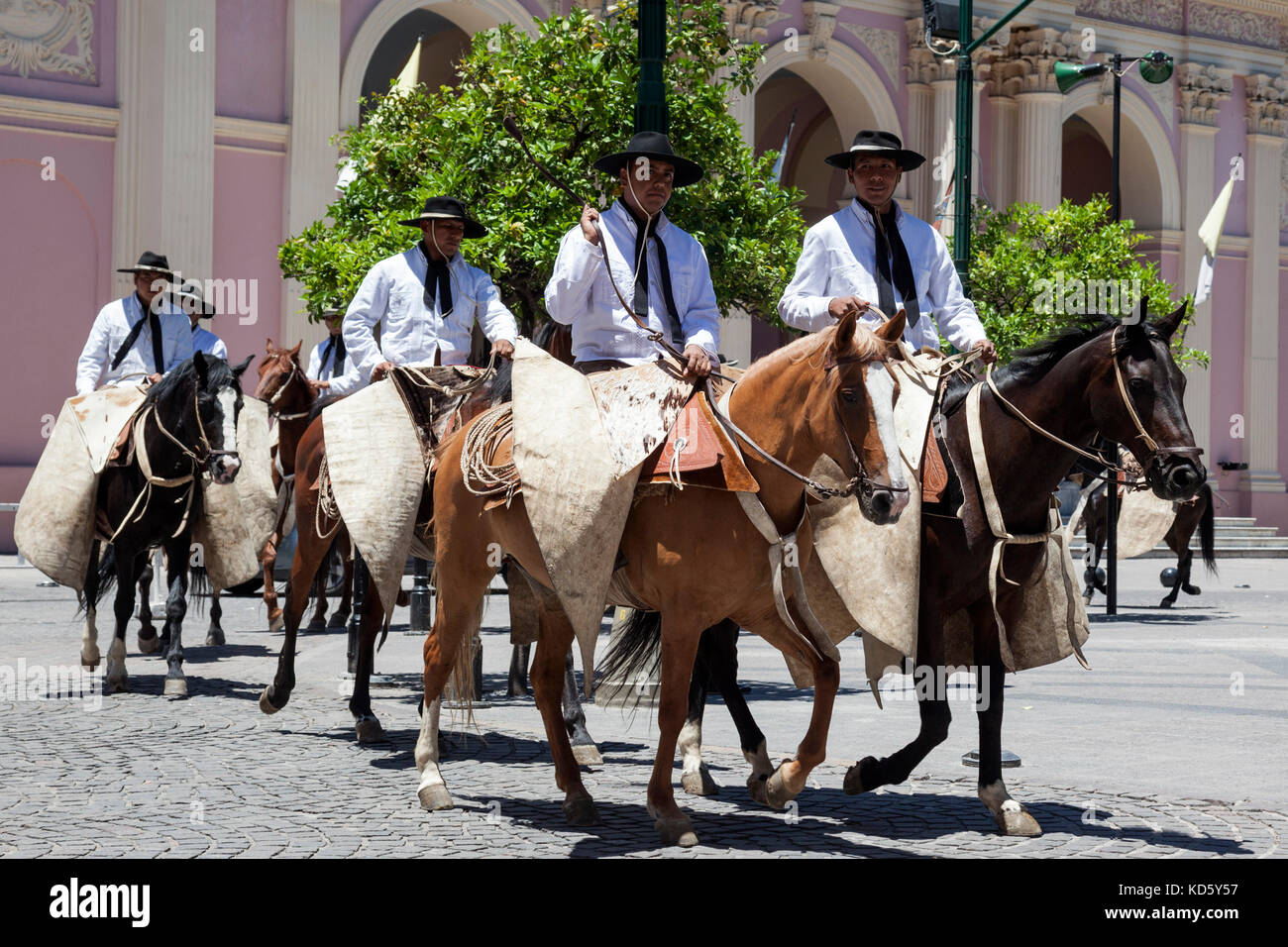 Gauchos zu Pferd im Plaza 9 de Julio, Salta, Argentinien, Südamerika Stockfoto