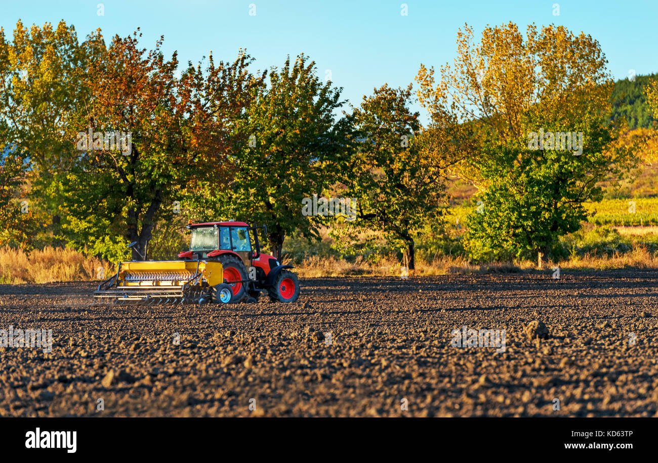 Bauer mit Traktor Aussaat Aussaat Kulturen auf landwirtschaftlichen Feldern im Herbst. Stockfoto