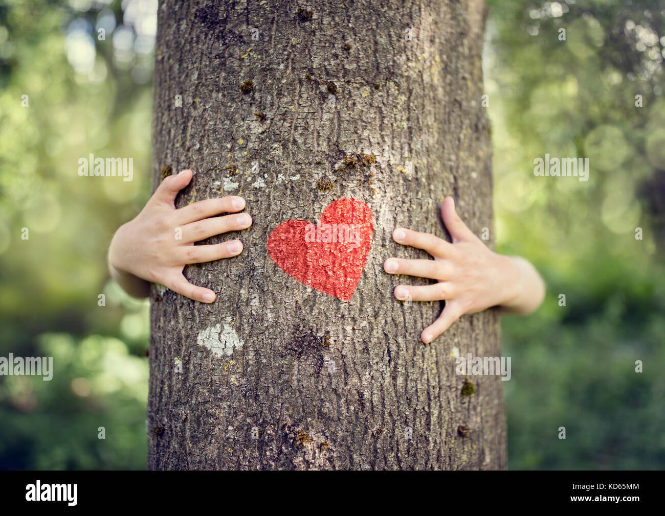 Baum umarmen, kleinen Jungen, ein Baum, eine Umarmung mit roten Herzen Konzept für die Natur lieben Stockfoto