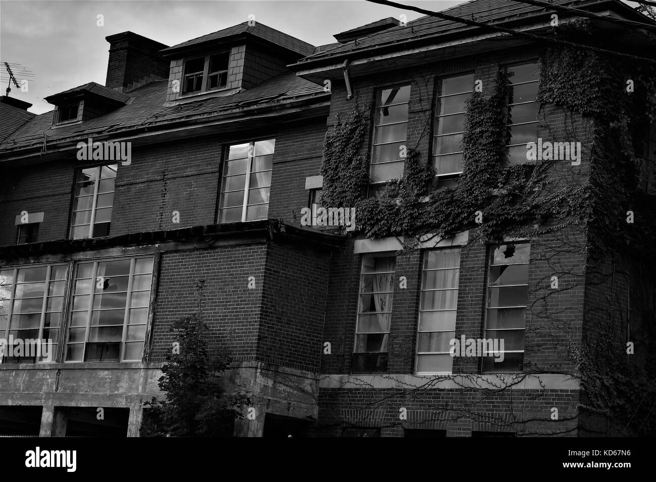 Alten, verlassenen überwachsen schwarzes und weißes Gebäude. Stockfoto