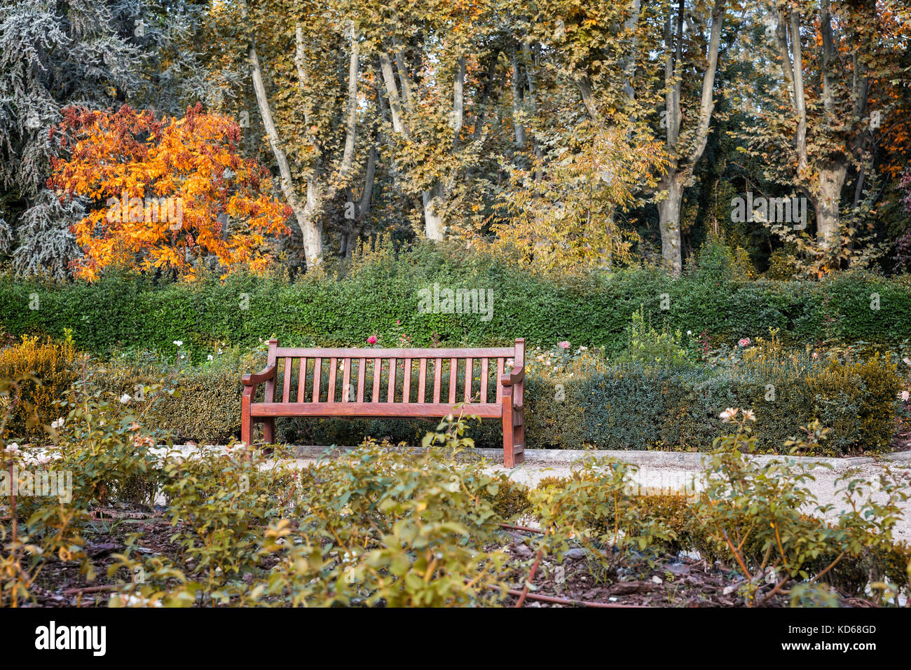 Holzbank in der ruhigen Garten im Herbst Stockfoto