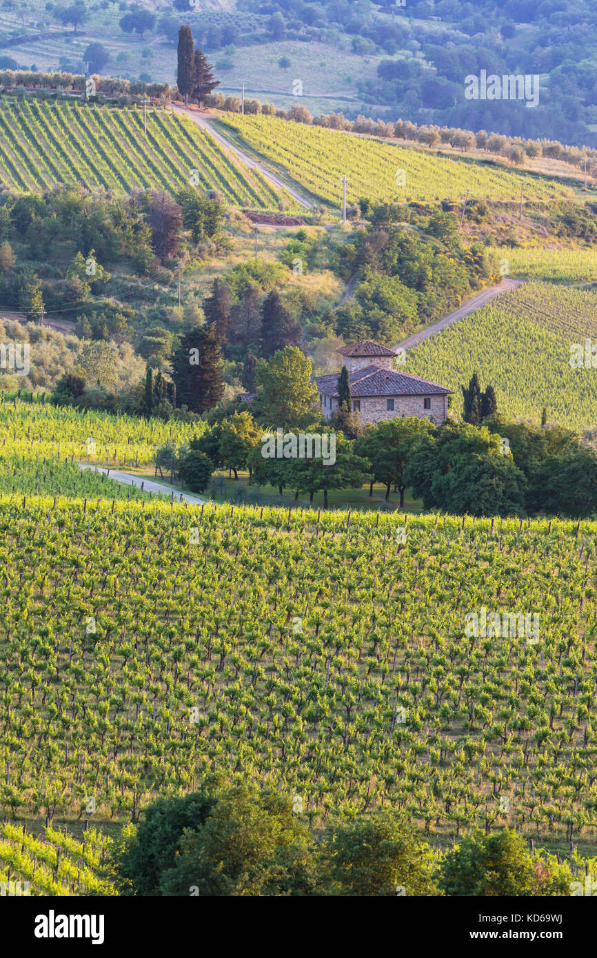 In der Nähe von Panzano, Provinz Florenz, Toskana, Italien. Weinberge und Bauernhaus in der Region Chianti. Stockfoto