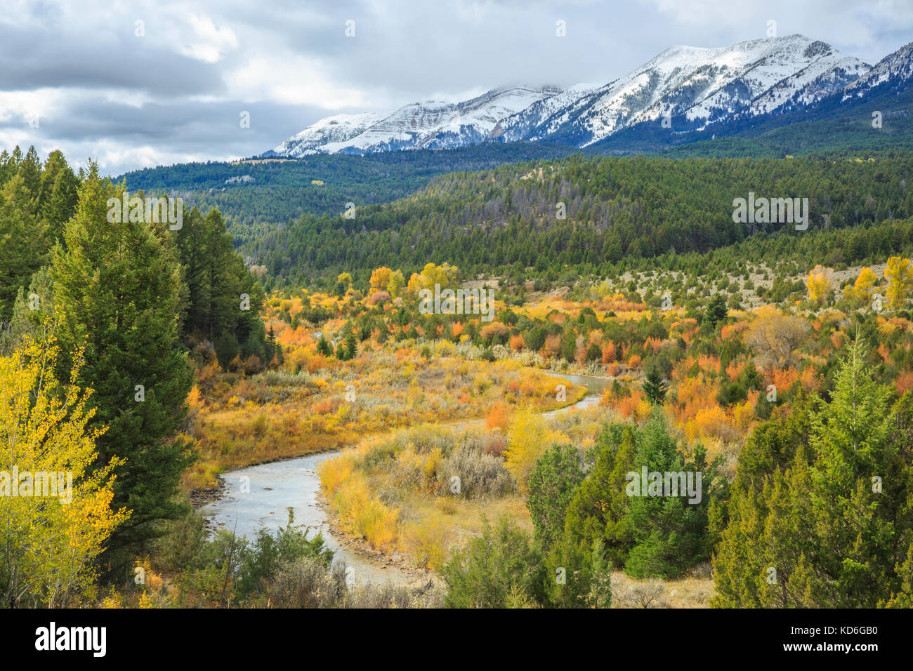 Herbst Farben entlang der Ruby Fluss unterhalb des snowcrest Bereich in der Nähe von Erlen, Montana Stockfoto