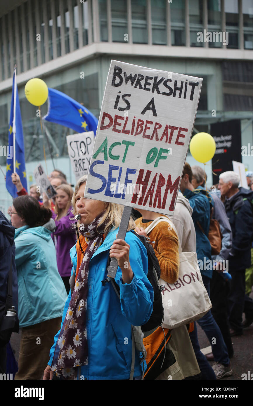 Bwrexshit ist ein bewusster Akt des Selbstschadens in der Demo von Manchester #StopBrexit Stockfoto