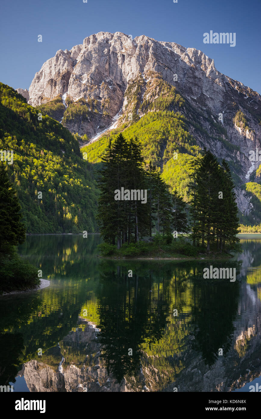 Vertikale Foto von Bäumen Reflexion am Lago del Predil, Italien. Stockfoto