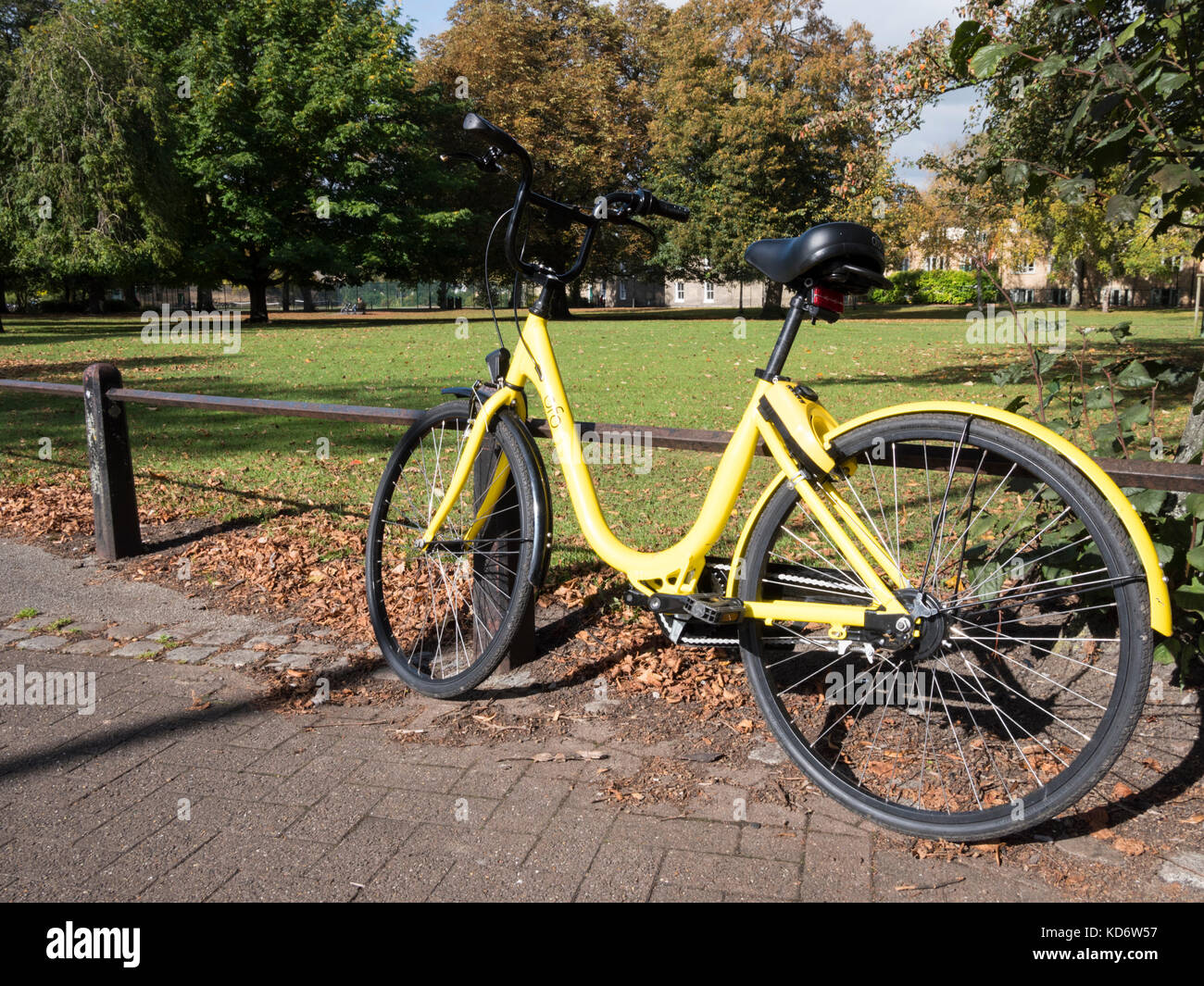 Einen gelben OFO mieten Fahrrad oder Motorrad gegen ein Geländer in einem Park in Cambridge UK schiefen Stockfoto