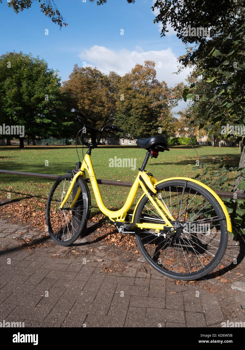 Einen gelben OFO mieten Fahrrad oder Motorrad gegen ein Geländer in einem Park in Cambridge UK schiefen Stockfoto