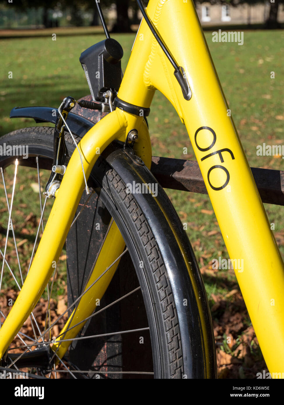 Einen gelben OFO mieten Fahrrad oder Motorrad gegen ein Geländer in einem Park in Cambridge UK schiefen Stockfoto
