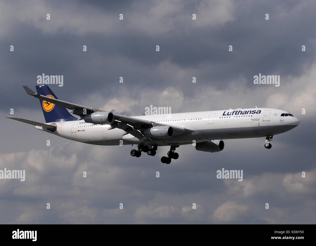 Miami, Florida - Januar 30, 2011: Lufthansa Airbus A-340 widebody Passenger Jet Landung in Miami nach einem Flug von Deutschland. Miami ist ein beliebter de Stockfoto