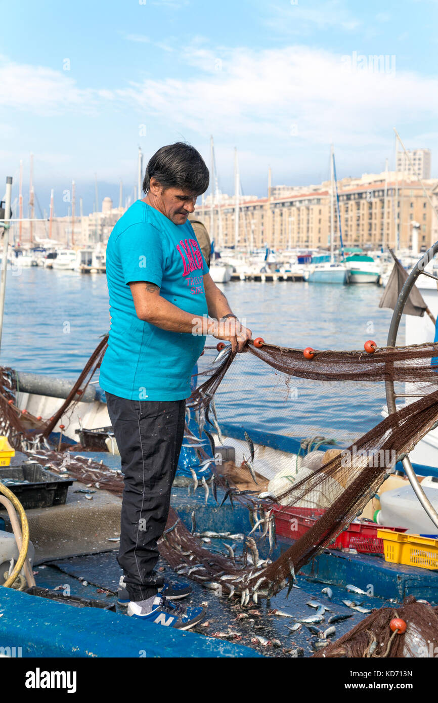 Fischer ziehen die Fische aus dem Netz in Vieux Port (alter Hafen) am Markttag, Marseille, Frankreich Stockfoto