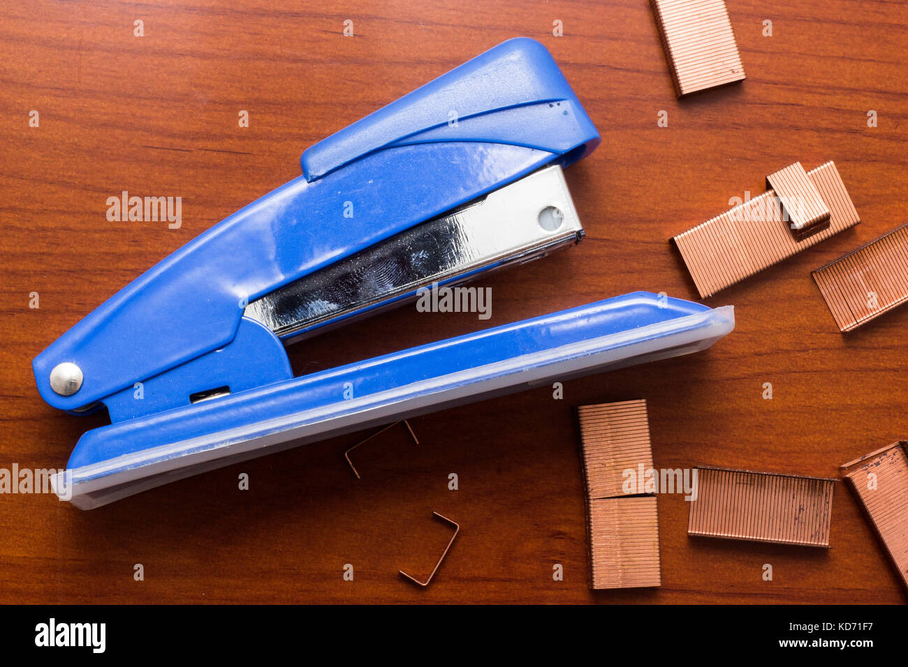 Blue Hefter und Stapel von Kupfer Büro Heftklammern auf Holz- Büro, Nahaufnahme, Ansicht von oben Stockfoto