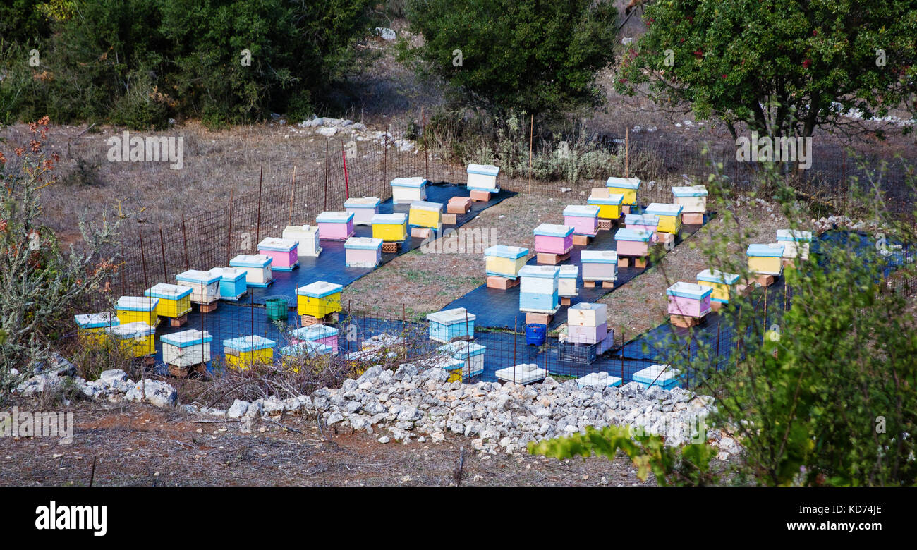 Hell Bienenstöcke in einem eingezäunten Gehege auf der felsigen Insel Ithaka in der Ionischen Inseln von Griechenland gemalt Stockfoto