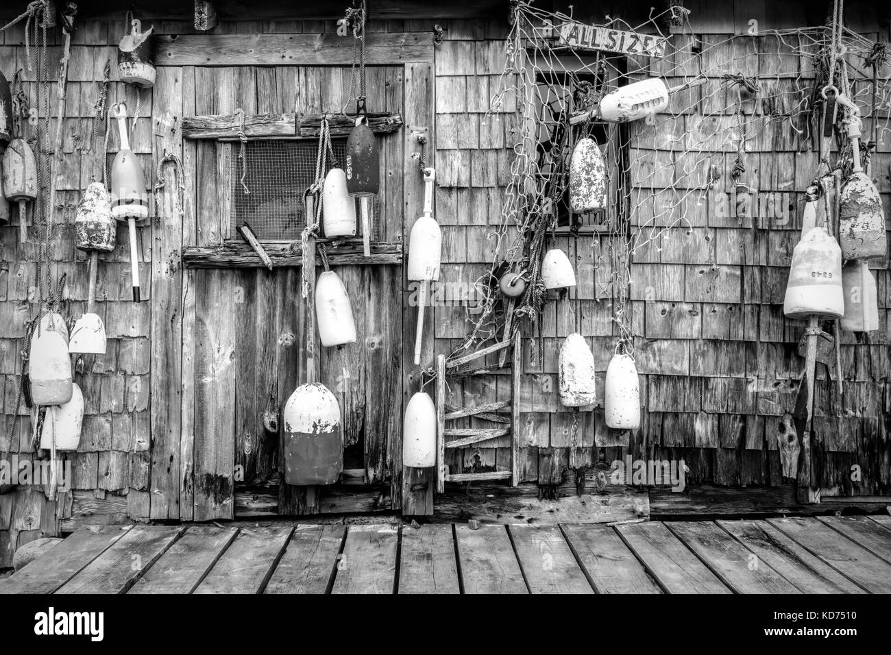 Cape Neddick Lobster Pound, York, Maine Stockfoto