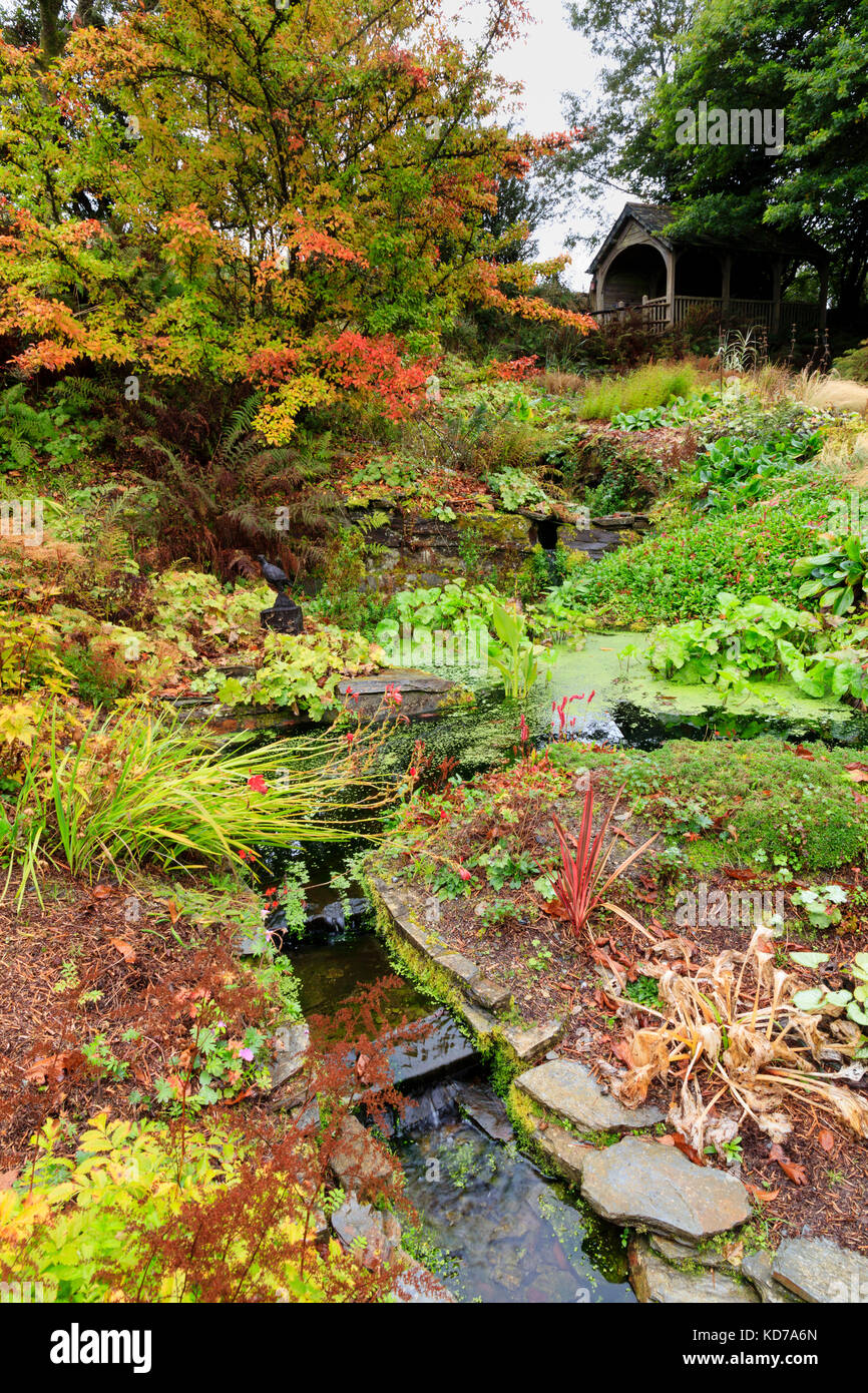 Herbst Farbe um den Stream läuft bis zum Sommerhaus in der Steinbruch Garten Garten Haus, Devon, Großbritannien Stockfoto