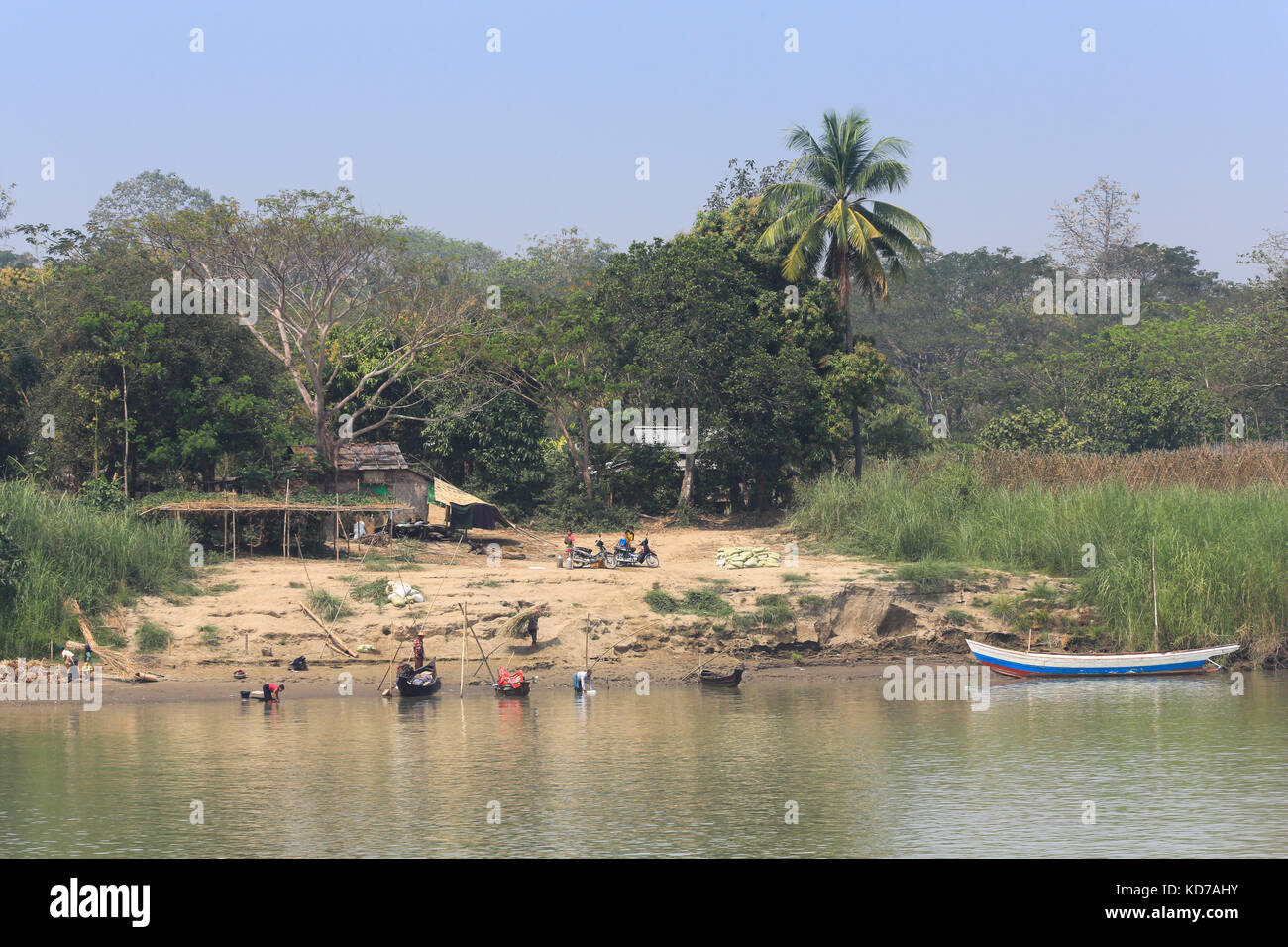 Dorfbewohner tragen Bündeln von Holz an den Ufern des Irrawaddy Flusses in miyanmar (Burma). Stockfoto