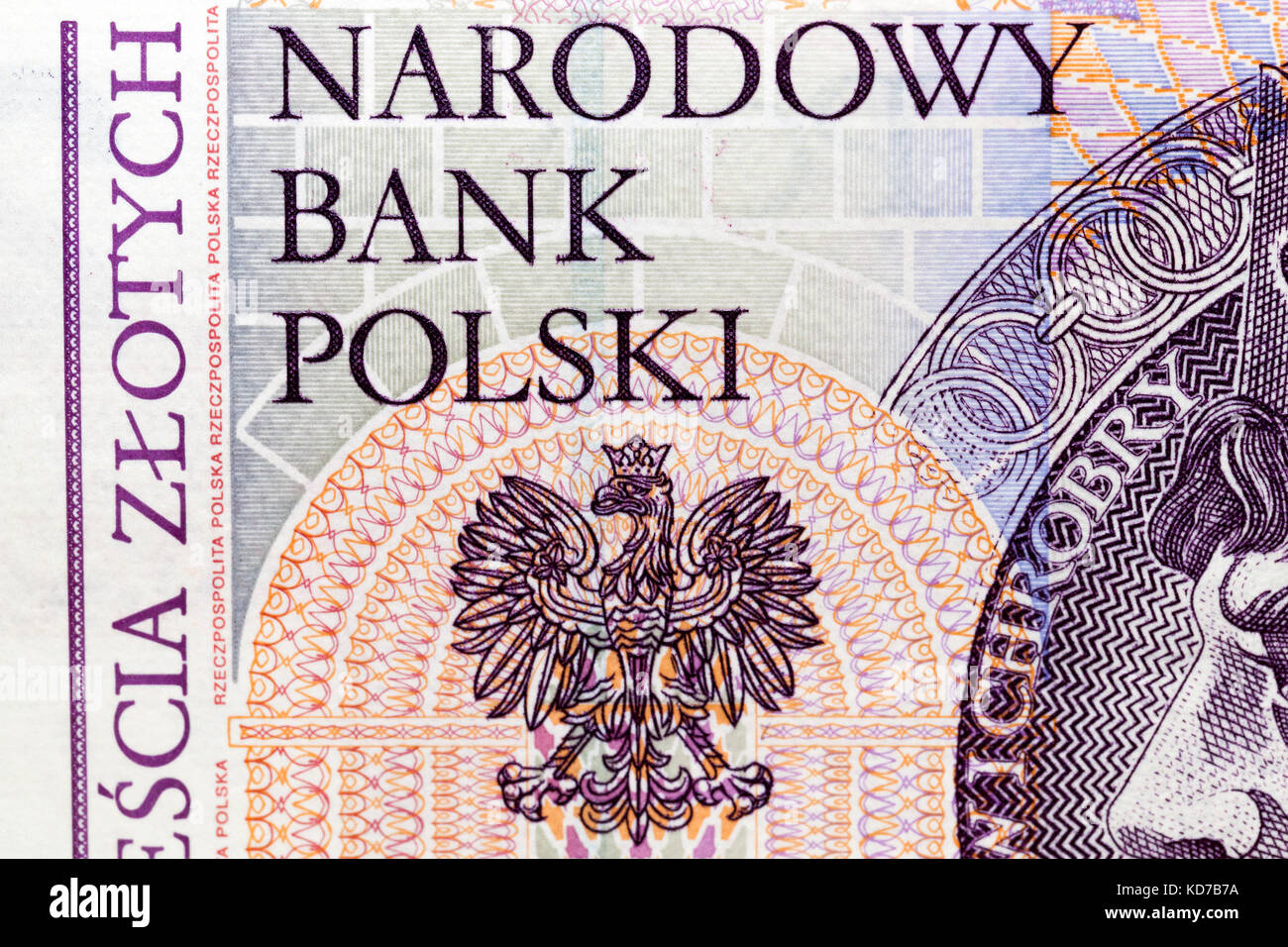 Polnische Banknoten, close-up Stockfoto