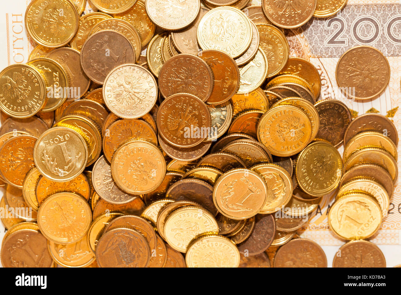Polnische Geld, close-up Stockfoto