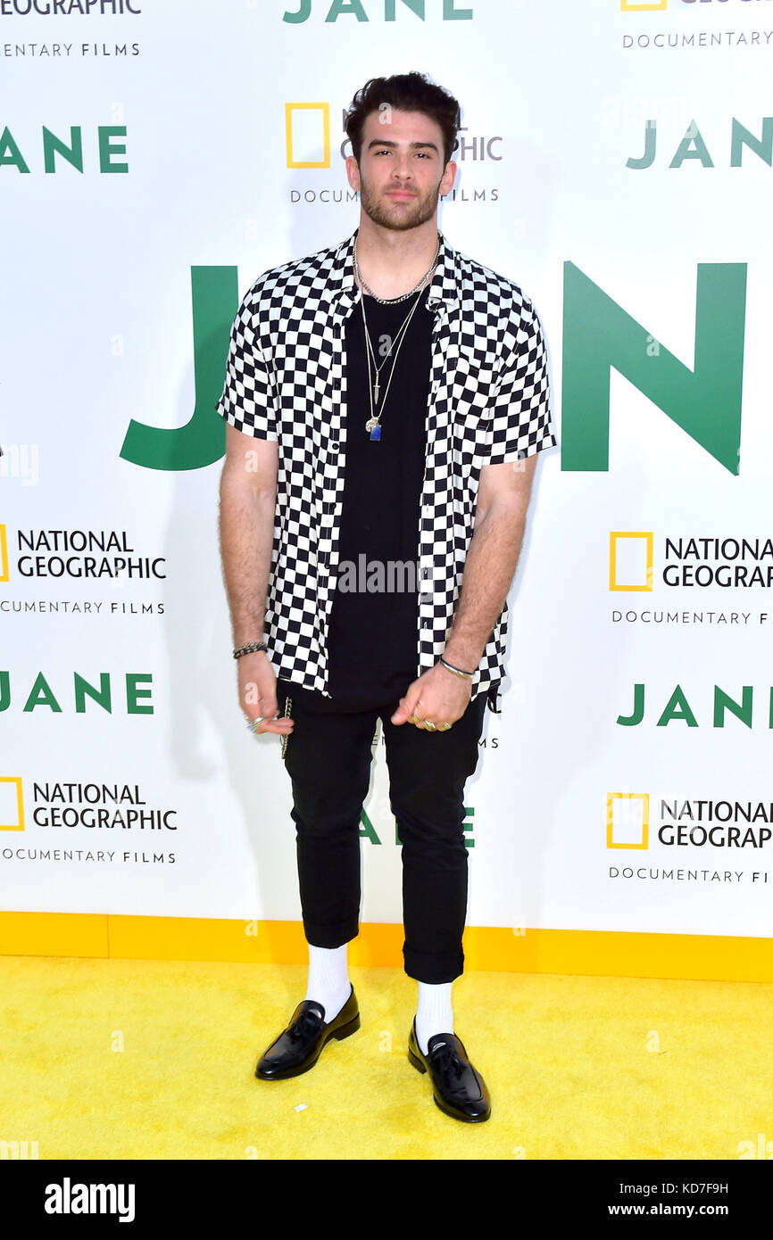 Hasan Piker besucht die Premiere der National Geographic Dokumentarfilme „Jane“ im Hollywood Bowl am 9. Oktober 2017 in Hollywood, Kalifornien. Stockfoto