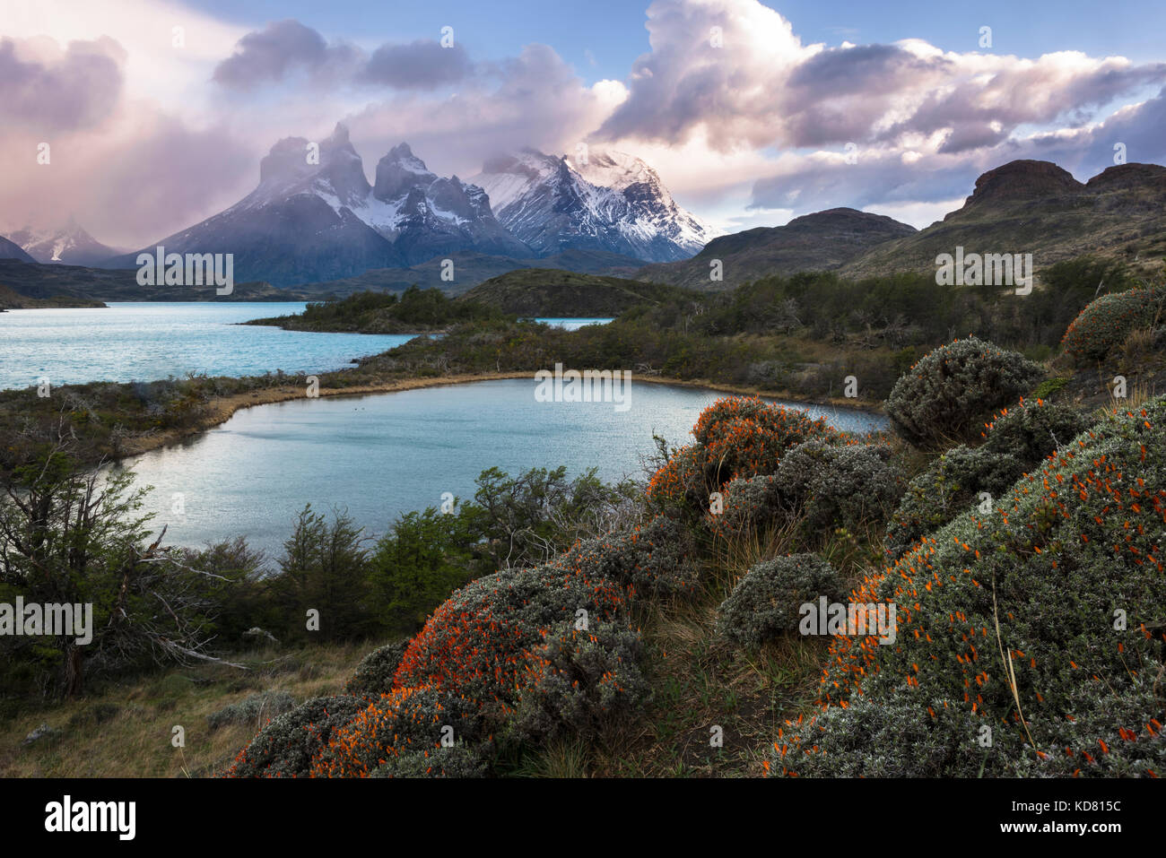 Torres del Paine Nationalpark in Chile Stockfoto