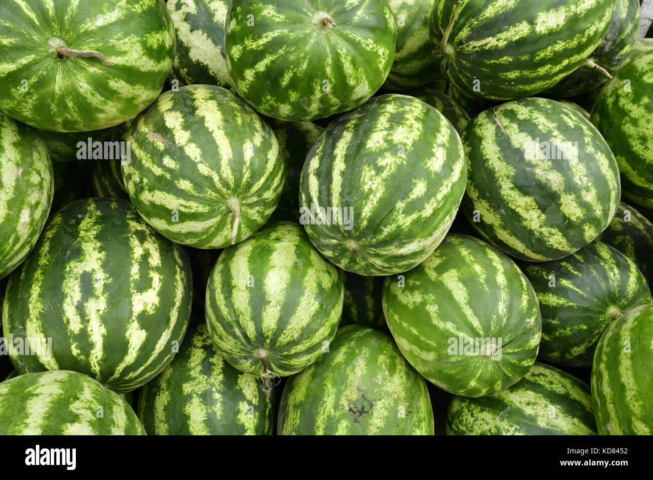 Wassermelone, Markt, Sicherheit und Gesundheitsschutz bei der Bazar, Zentralasien, Reisen, Seidenstraße Stockfoto