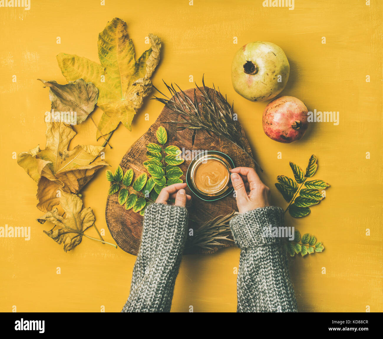 Herbst Kaffee am Morgen. Flachbild-lay von Frau Hände in graue Wollpullover holding Tasse Espresso über Senf gelber Hintergrund mit fal getrocknet Stockfoto