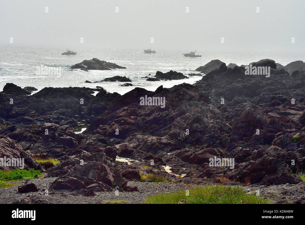 Boote Angeln für Wildlachs aus einem robusten Pazifik Küste in der Nähe der Stadt Ucluelet an der Westküste von Vancouver Island, British Columbia, Cana Stockfoto