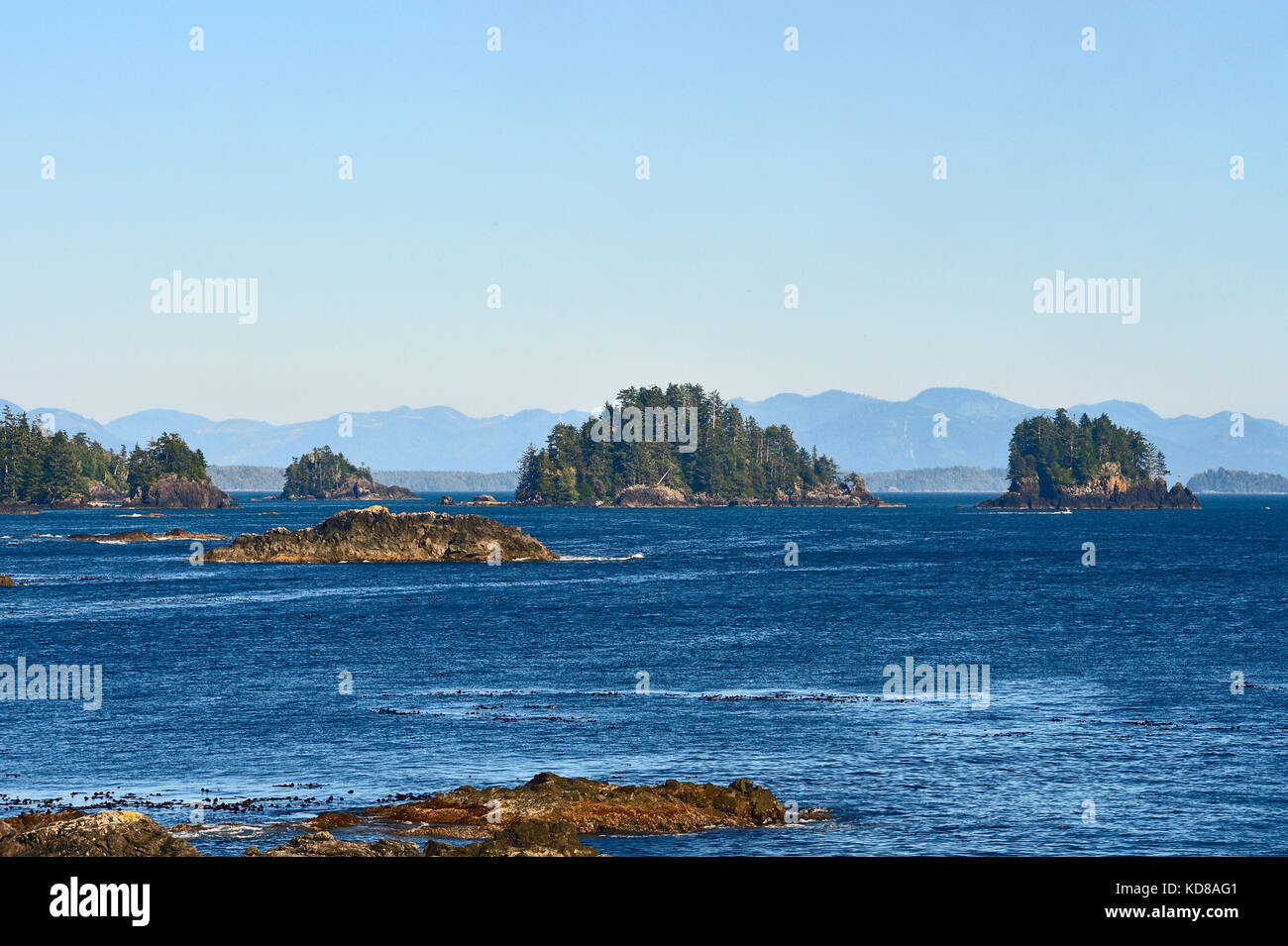 Kleine Inseln an der Westküste von Vancouver Island in den Pacific Rim National Park Reserve, in der Nähe von Ucluetet British Columbia Kanada. Stockfoto