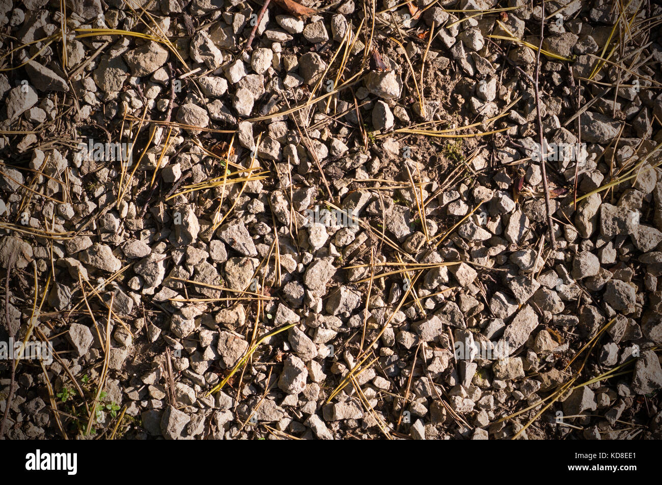 Steinige Textur im Herbst. Hintergrund. Stockfoto