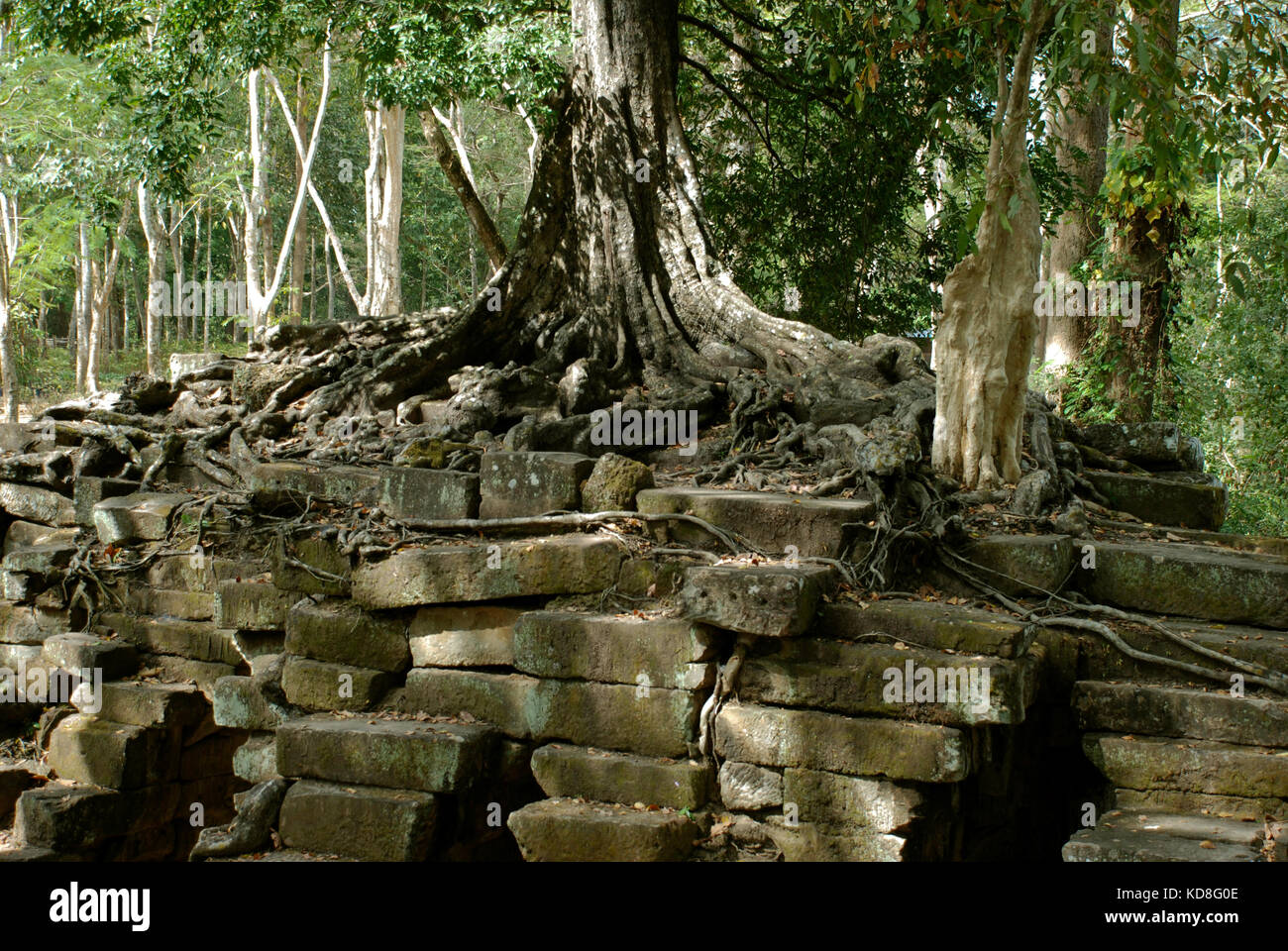 Die Tempel von Angkor Wat in der Nähe von Siem Reap, Kambodscha benannt wurden von der Unesco zum Weltkulturerbe Stockfoto