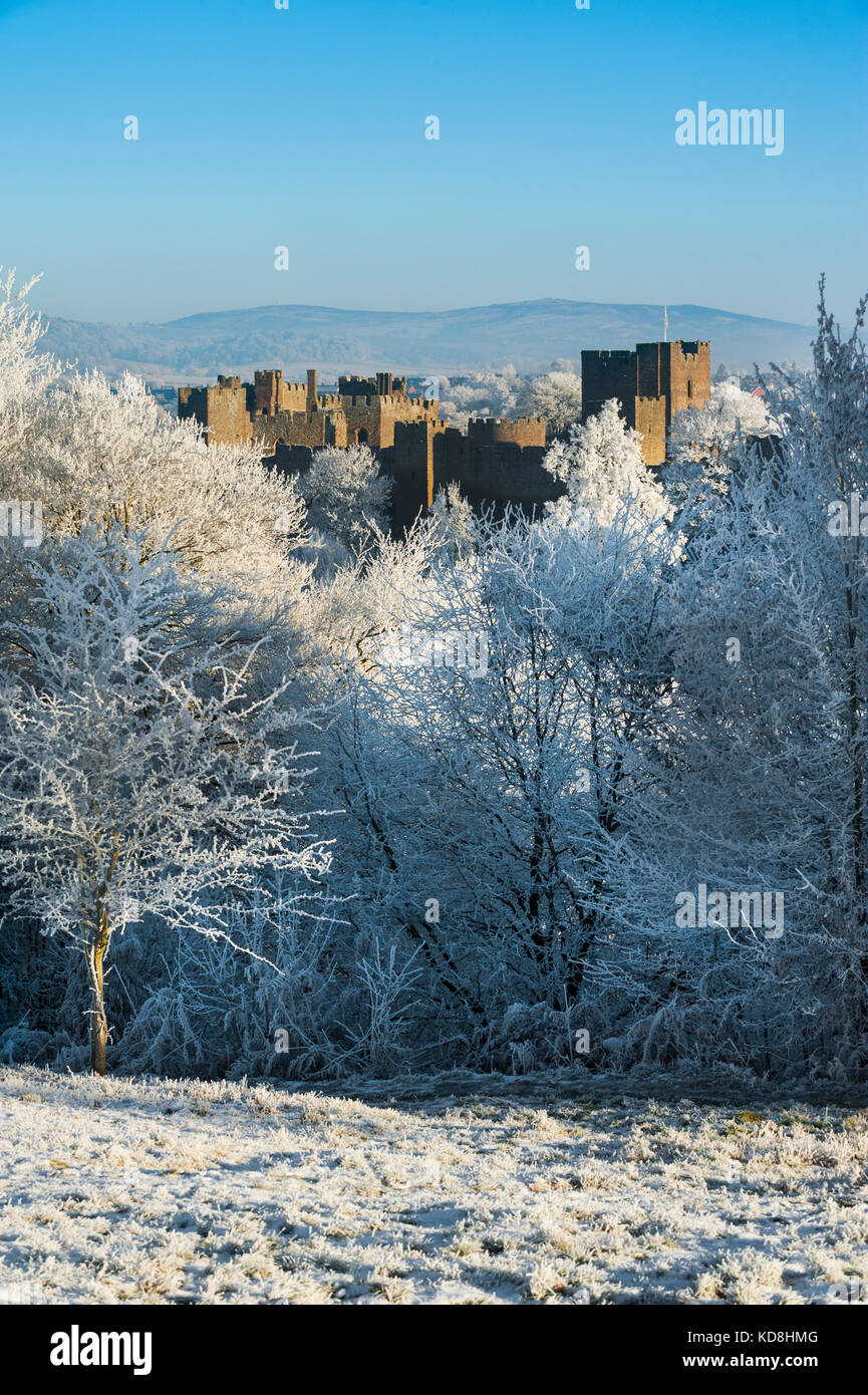 Ludlow Castle durch Raureif im Winter, Shropshire, England umgeben, Großbritannien Stockfoto