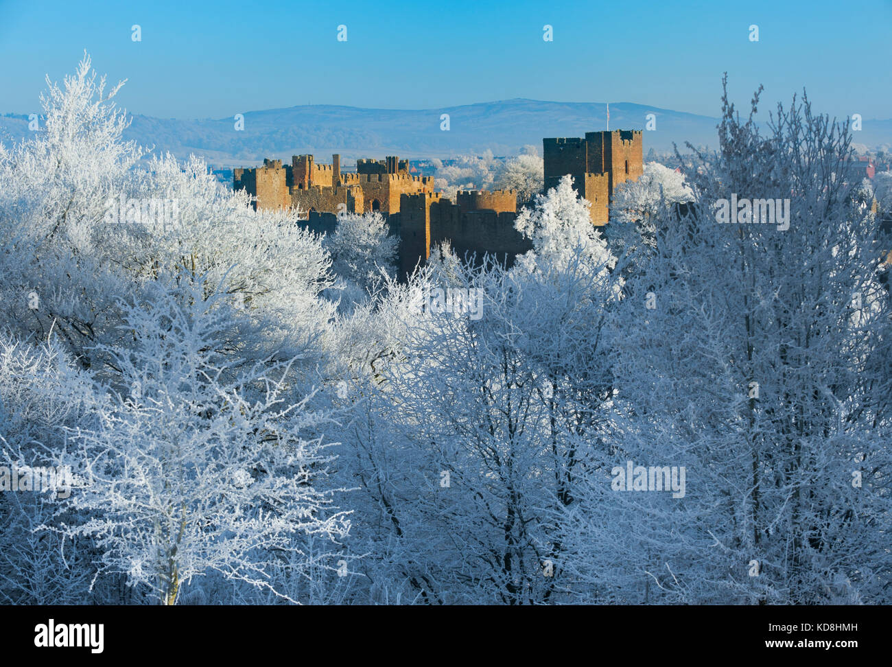 Ludlow Castle durch Raureif im Winter, Shropshire, England umgeben, Großbritannien Stockfoto