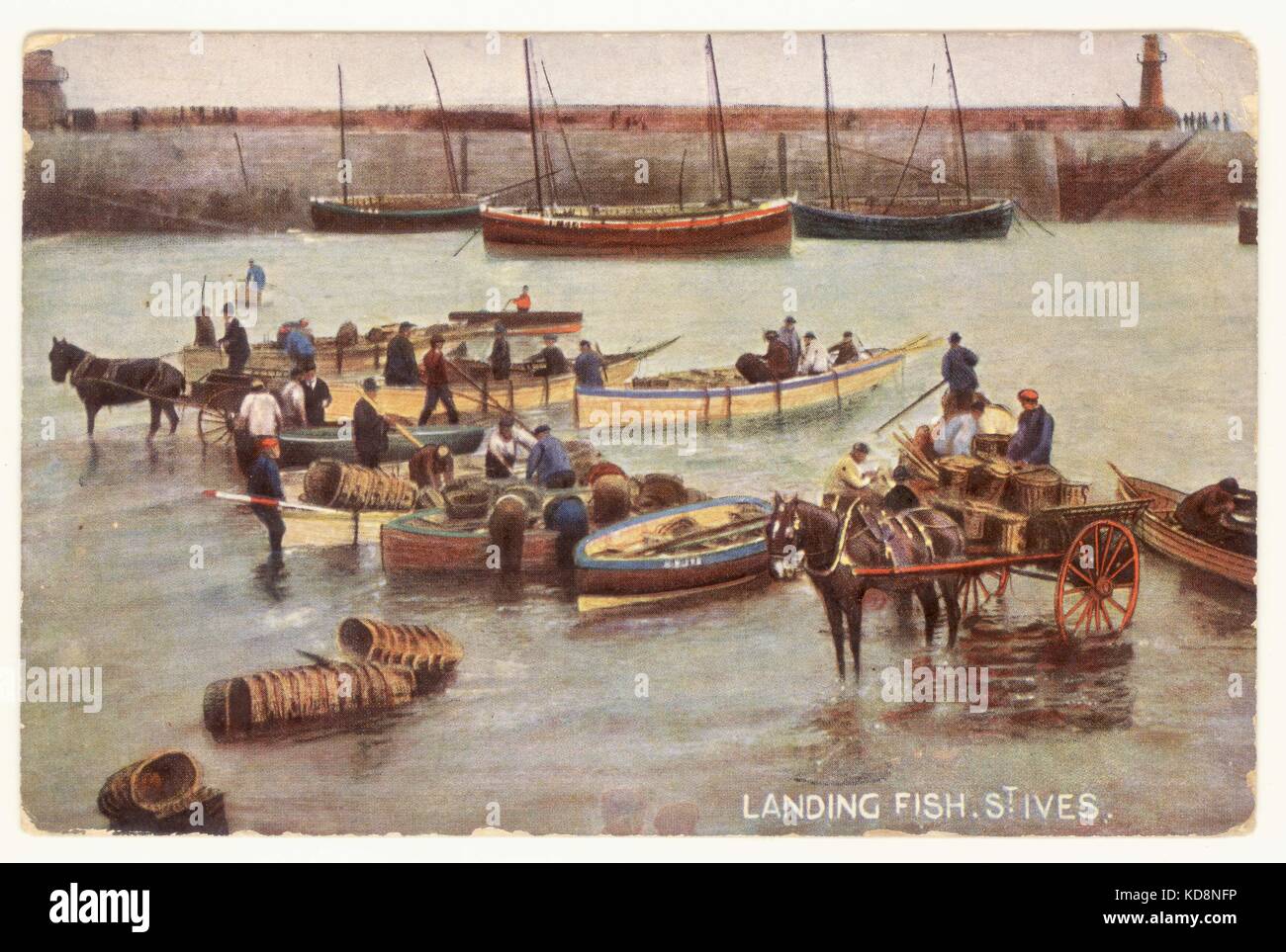 Edwardian Postkarte der Fischer, der den Titel "Landung Fisch in St. Ives' - Bild ca. 1905 Cornwall, Großbritannien Stockfoto