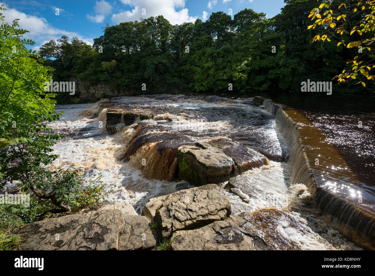 Der Fluss swale in Richmond liegt unterhalb der historischen Stadt Richmond, North Yorkshire, England. Stockfoto