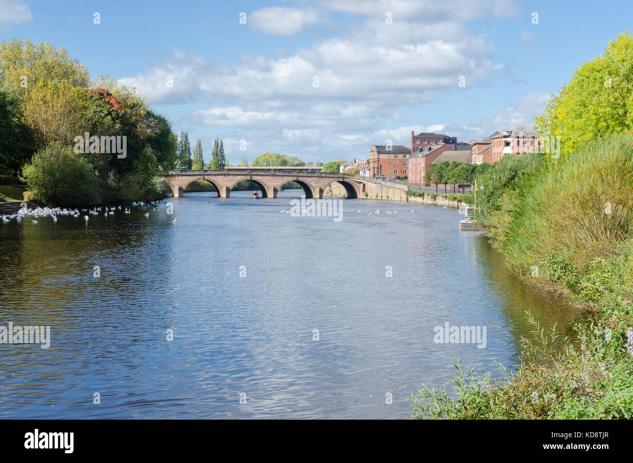 Suchen entlang des Flusses Severn in Worcester in Richtung Worcester Brücke Stockfoto