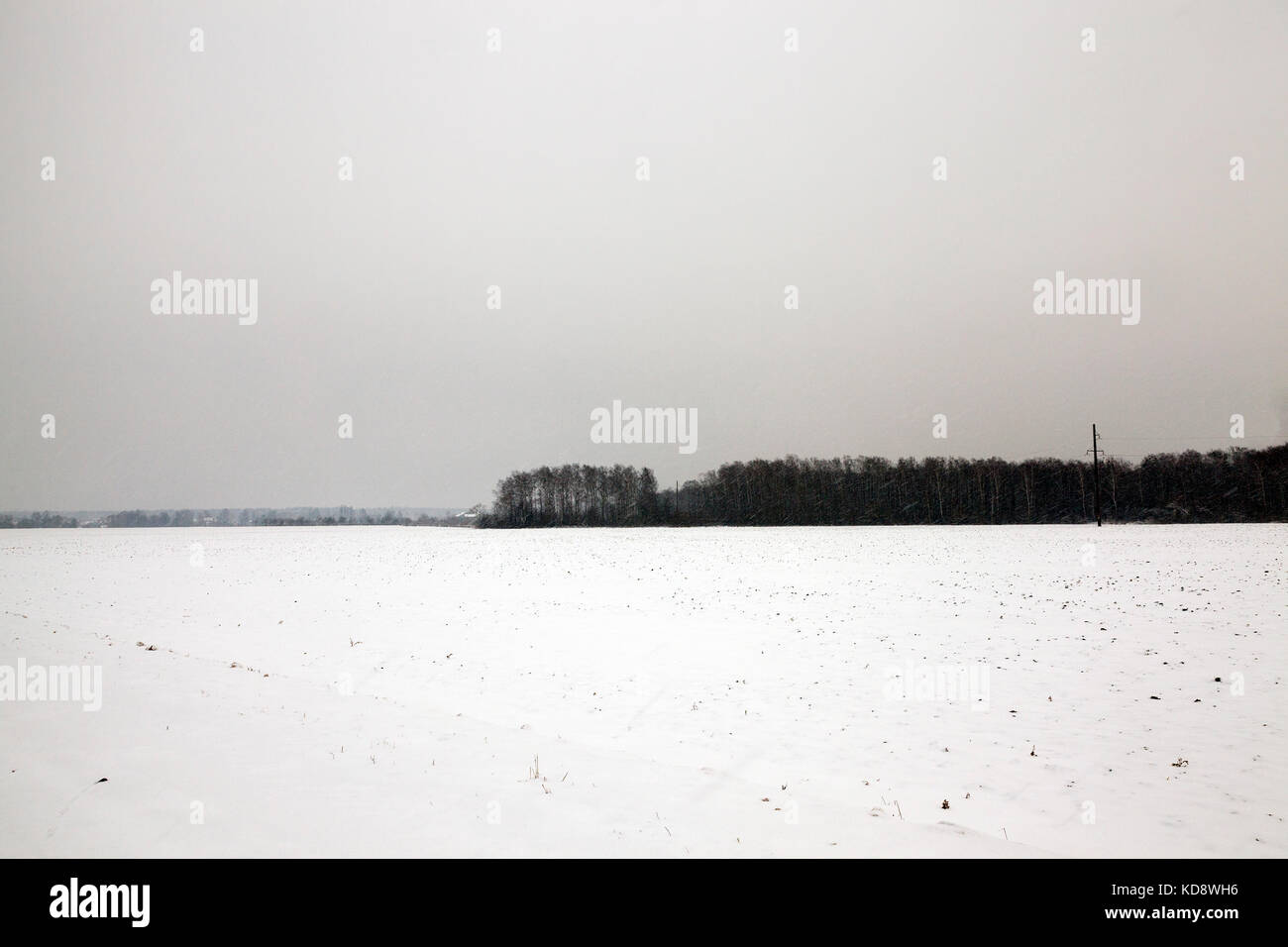 Winterlandschaft, Schneefall Stockfoto