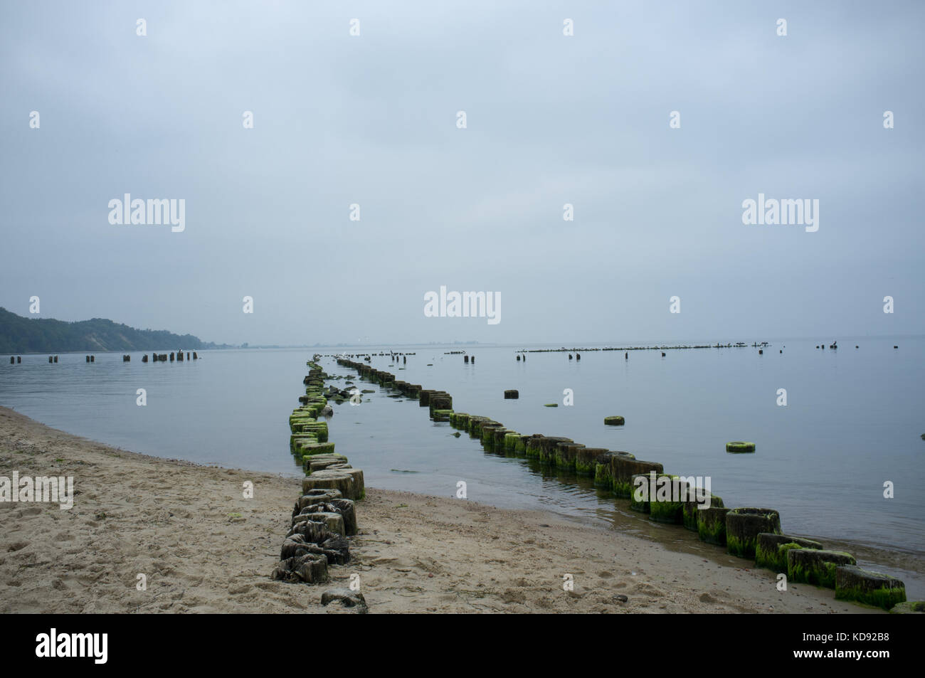 Entlang der Küste in Babie Doły, Nordpolen Stockfoto