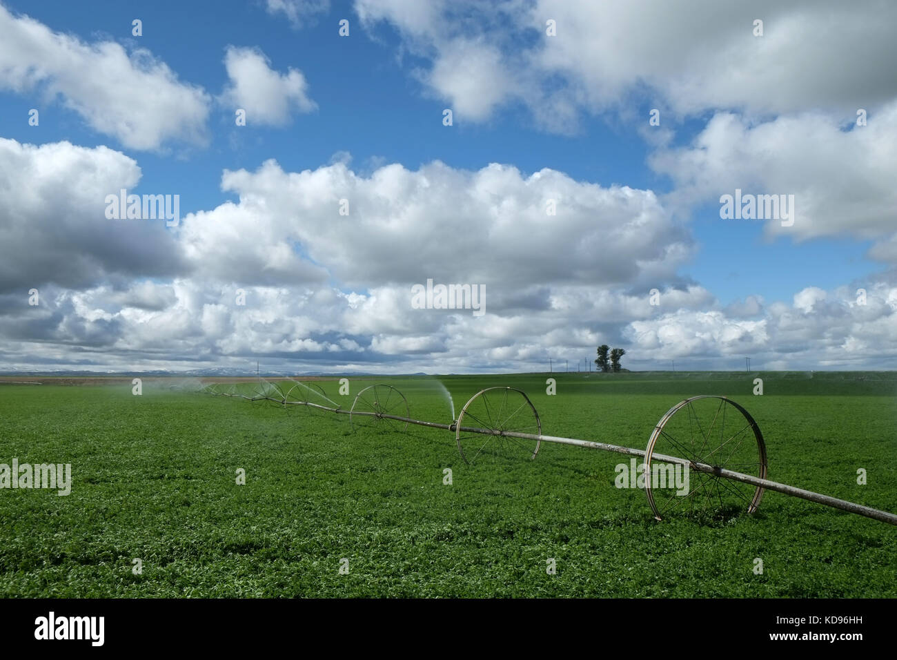 Drehmittelpunkt Bewässerung in Idaho Felder Stockfoto