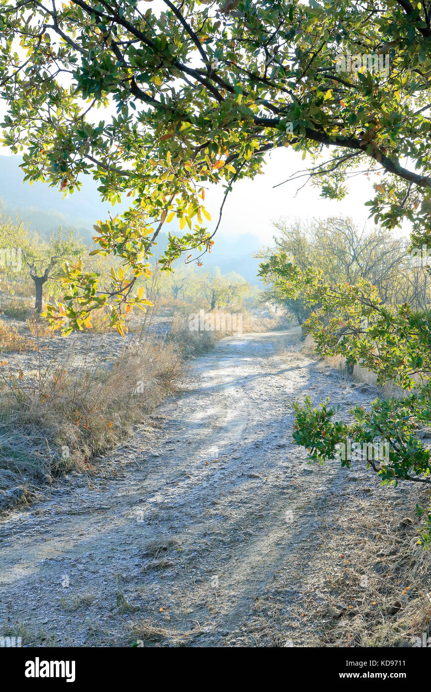 Spanien Stockfoto