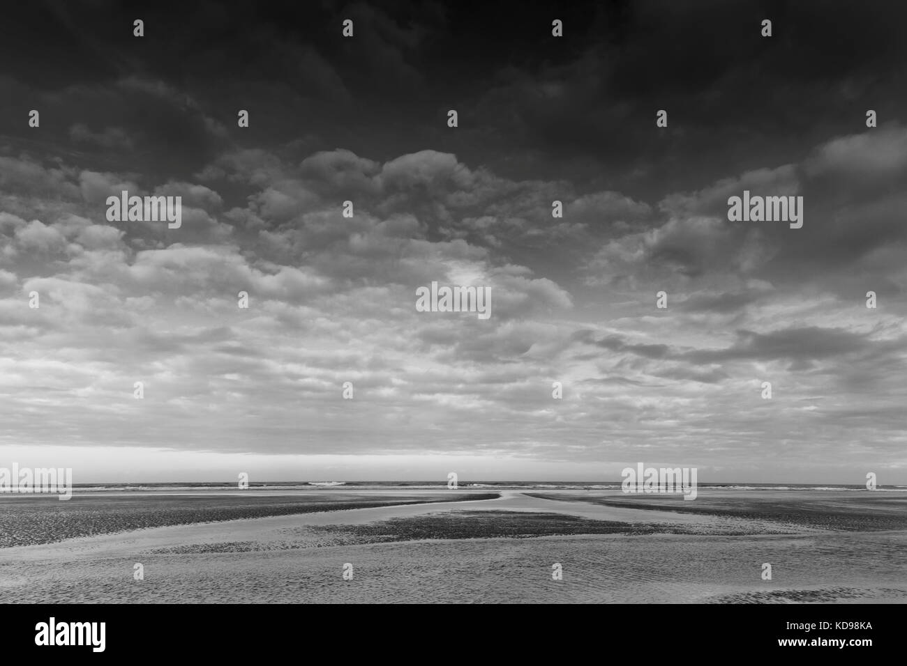 Atmosphäre im niedersächsischen Nationalpark Wattenmeer, Niedersachsen, Deutschland, Europa Stockfoto